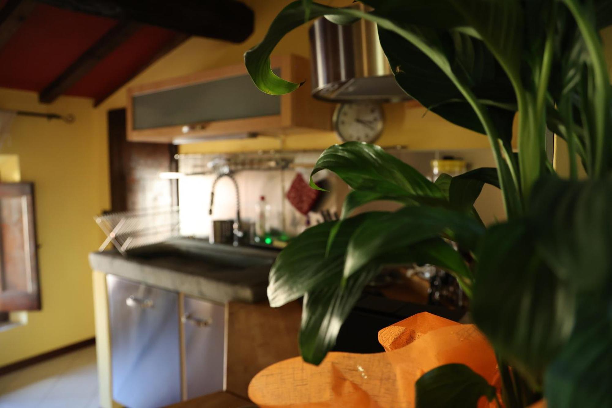 Mansarda Pescia Apartment Екстериор снимка